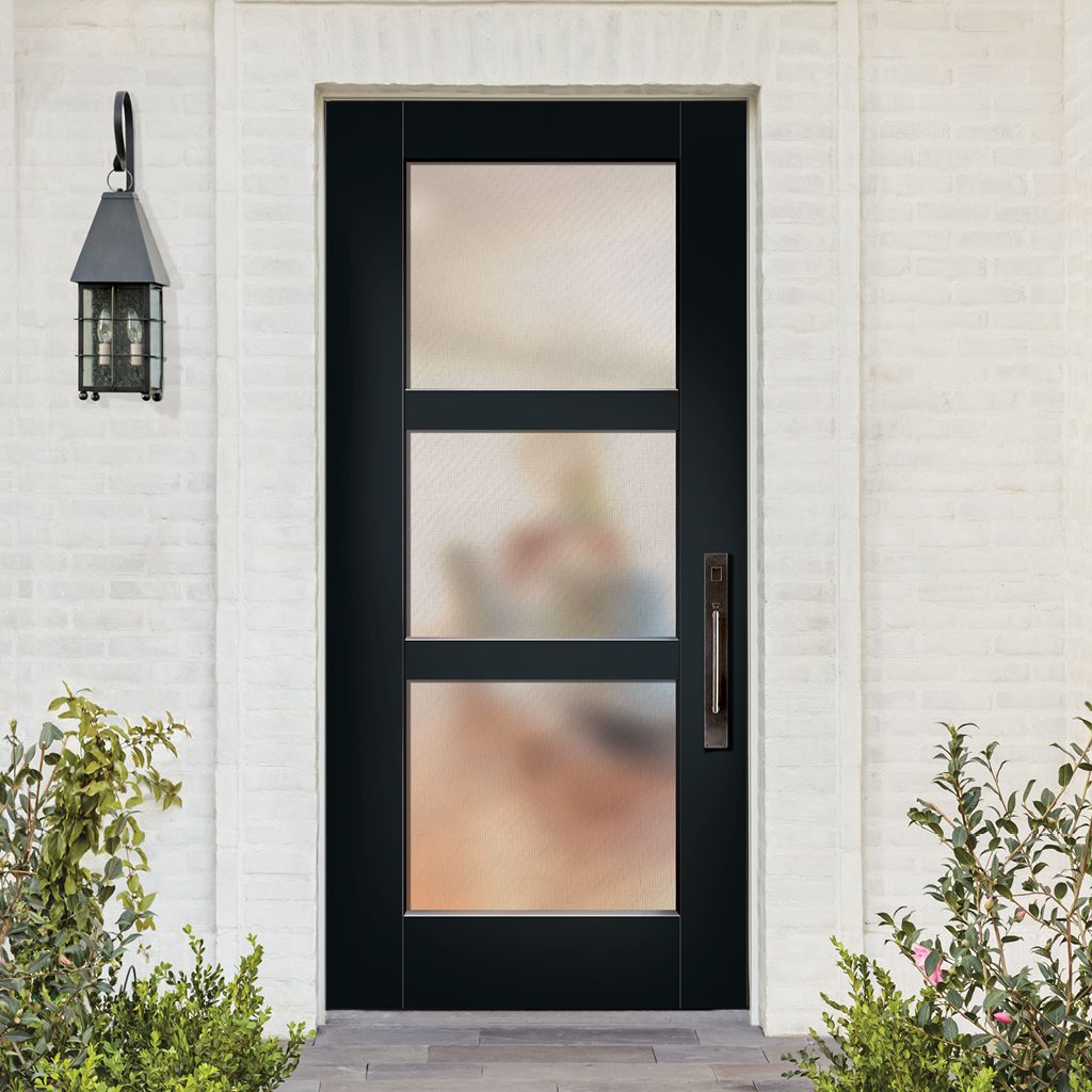 3-Lite Modern Entry Door in Black